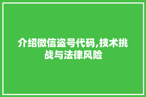 介绍微信盗号代码,技术挑战与法律风险 seo技术