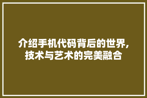 介绍手机代码背后的世界,技术与艺术的完美融合