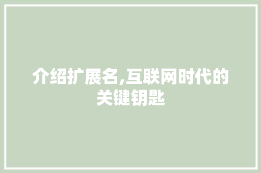 介绍扩展名,互联网时代的关键钥匙 seo技术