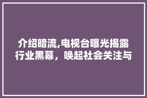 介绍暗流,电视台曝光揭露行业黑幕，唤起社会关注与反思 头条优化