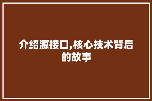 介绍源接口,核心技术背后的故事