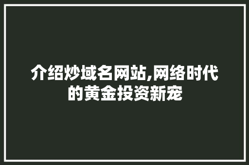 介绍炒域名网站,网络时代的黄金投资新宠