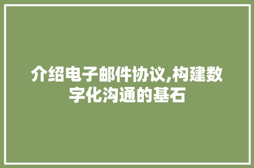 介绍电子邮件协议,构建数字化沟通的基石 搜狗优化