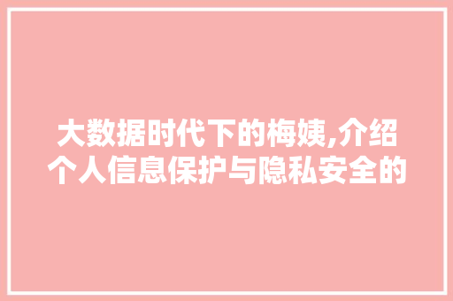 大数据时代下的梅姨,介绍个人信息保护与隐私安全的挑战 网站优化