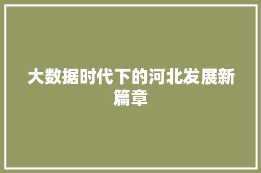 大数据时代下的河北发展新篇章 小程序开发