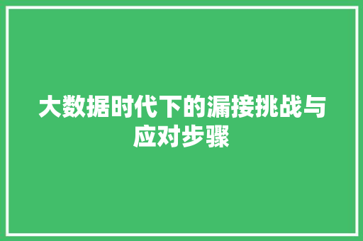 大数据时代下的漏接挑战与应对步骤 seo技术