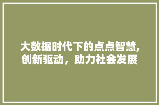 大数据时代下的点点智慧,创新驱动，助力社会发展 头条优化