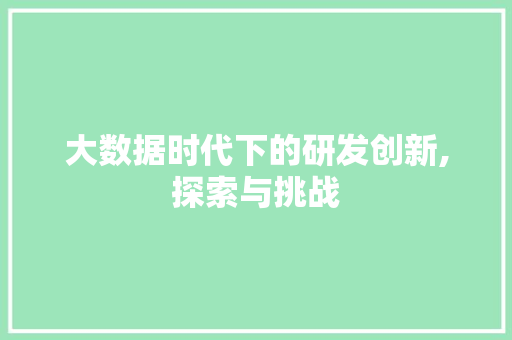 大数据时代下的研发创新,探索与挑战 网站优化