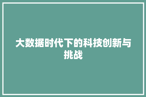 大数据时代下的科技创新与挑战 英文谷歌算法