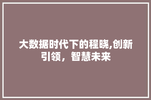 大数据时代下的程晓,创新引领，智慧未来 网站开发