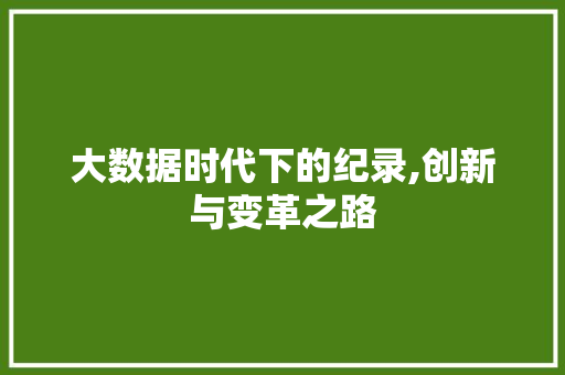 大数据时代下的纪录,创新与变革之路 网站优化