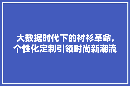大数据时代下的衬衫革命,个性化定制引领时尚新潮流