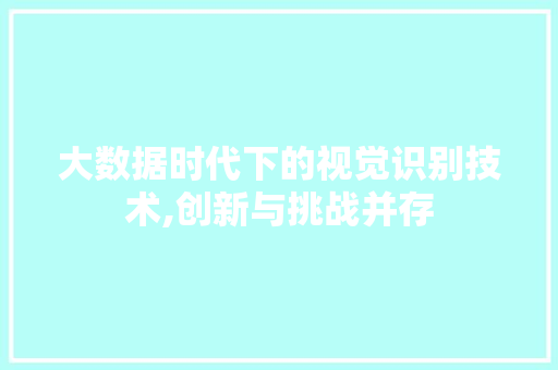 大数据时代下的视觉识别技术,创新与挑战并存