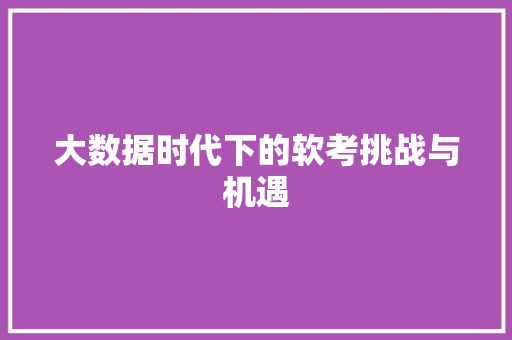 大数据时代下的软考挑战与机遇 网站优化