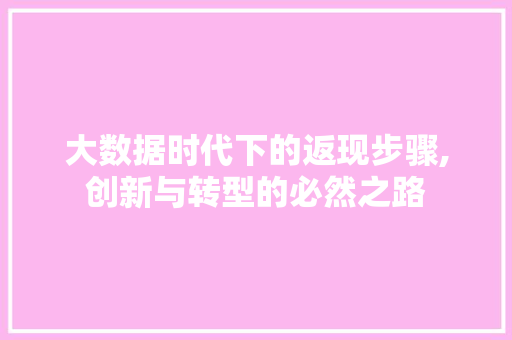 大数据时代下的返现步骤,创新与转型的必然之路 AI技术学习