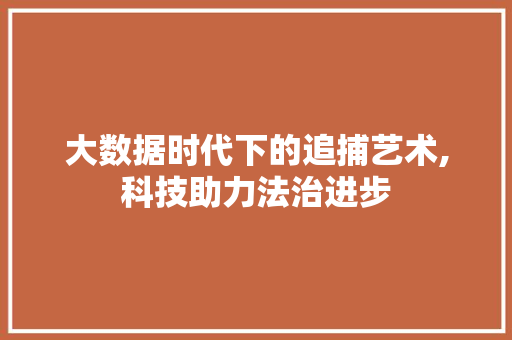 大数据时代下的追捕艺术,科技助力法治进步 小程序开发