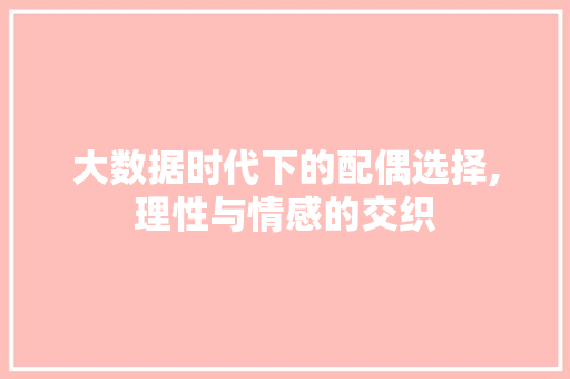 大数据时代下的配偶选择,理性与情感的交织 网站开发