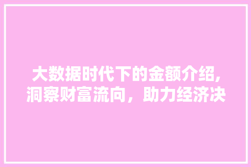 大数据时代下的金额介绍,洞察财富流向，助力经济决策 搜狗优化