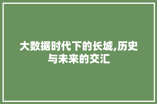 大数据时代下的长城,历史与未来的交汇 网站优化