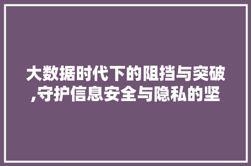 大数据时代下的阻挡与突破,守护信息安全与隐私的坚守 网站优化