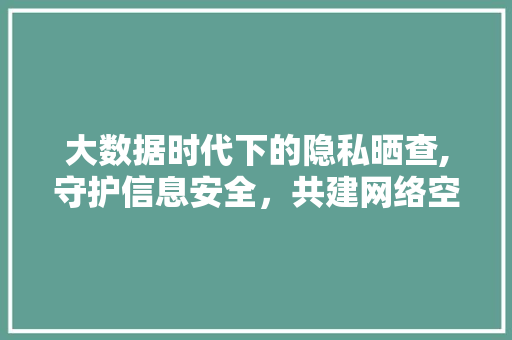 大数据时代下的隐私晒查,守护信息安全，共建网络空间 百度算法