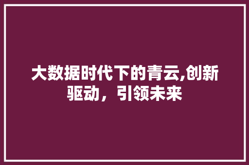 大数据时代下的青云,创新驱动，引领未来