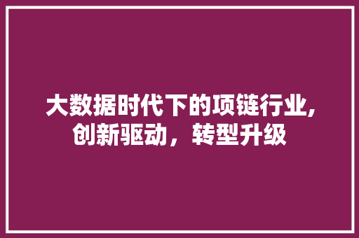 大数据时代下的项链行业,创新驱动，转型升级 seo技术