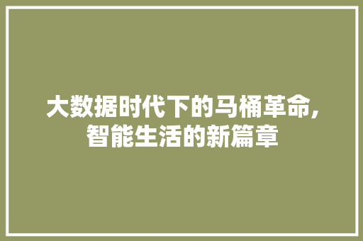 大数据时代下的马桶革命,智能生活的新篇章 英文谷歌算法