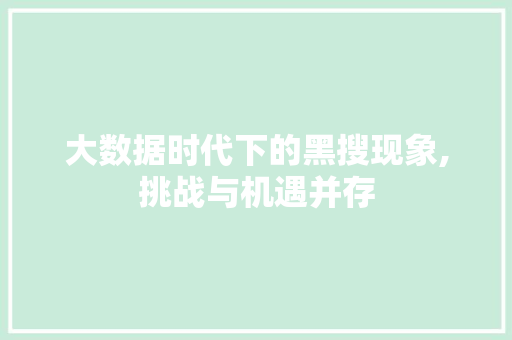 大数据时代下的黑搜现象,挑战与机遇并存