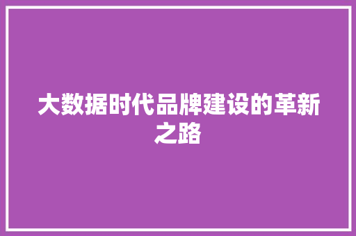 大数据时代品牌建设的革新之路 网站优化