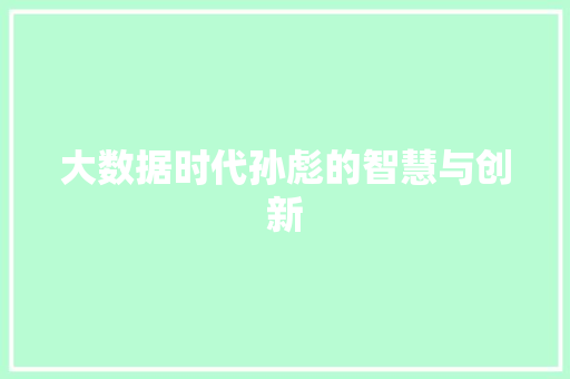大数据时代孙彪的智慧与创新 百度算法
