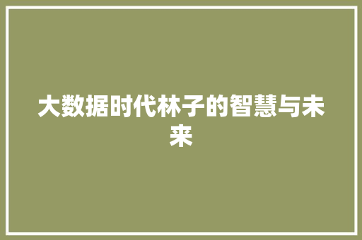 大数据时代林子的智慧与未来 搜狗优化
