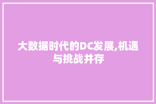 大数据时代的DC发展,机遇与挑战并存 头条优化