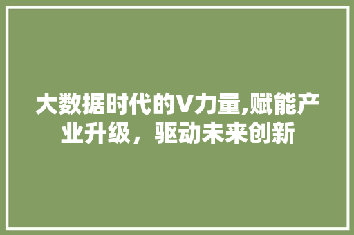 大数据时代的V力量,赋能产业升级，驱动未来创新 英文谷歌算法