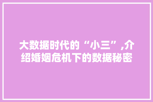 大数据时代的“小三”,介绍婚姻危机下的数据秘密 头条优化