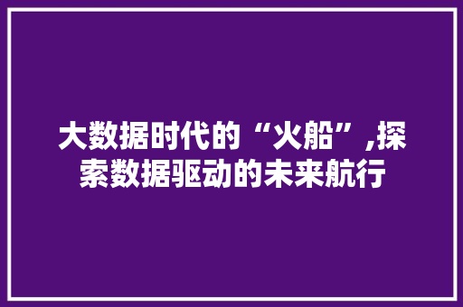 大数据时代的“火船”,探索数据驱动的未来航行 seo技术