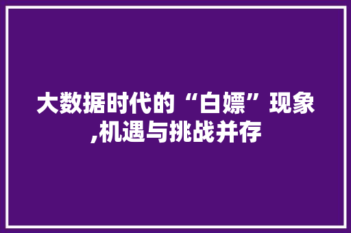 大数据时代的“白嫖”现象,机遇与挑战并存 网站开发