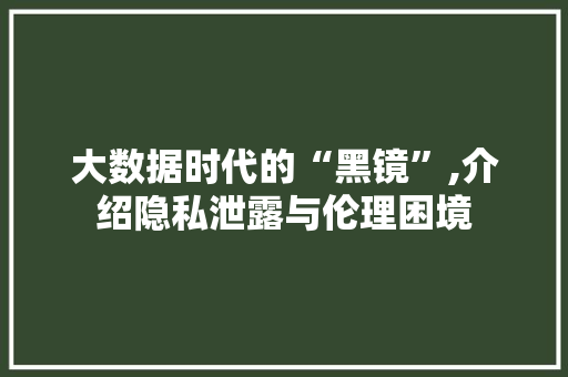 大数据时代的“黑镜”,介绍隐私泄露与伦理困境 搜狗优化