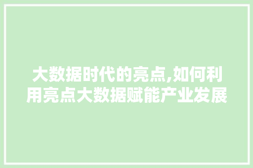 大数据时代的亮点,如何利用亮点大数据赋能产业发展 小程序开发