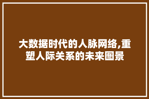 大数据时代的人脉网络,重塑人际关系的未来图景 头条优化