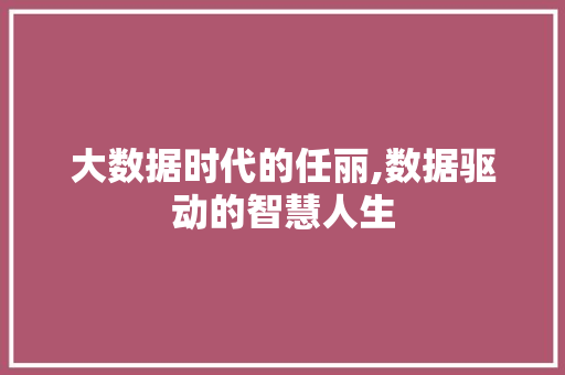 大数据时代的任丽,数据驱动的智慧人生 360搜优化