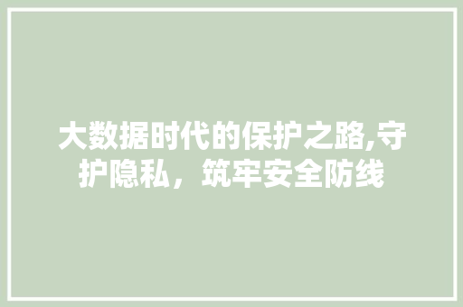大数据时代的保护之路,守护隐私，筑牢安全防线