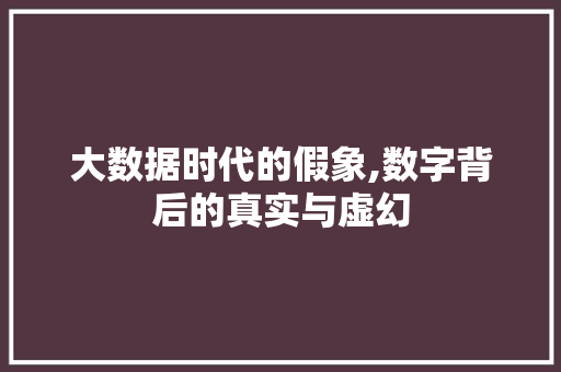 大数据时代的假象,数字背后的真实与虚幻 seo技术