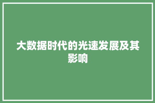 大数据时代的光速发展及其影响 网站优化