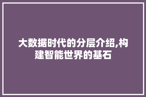 大数据时代的分层介绍,构建智能世界的基石 小程序开发