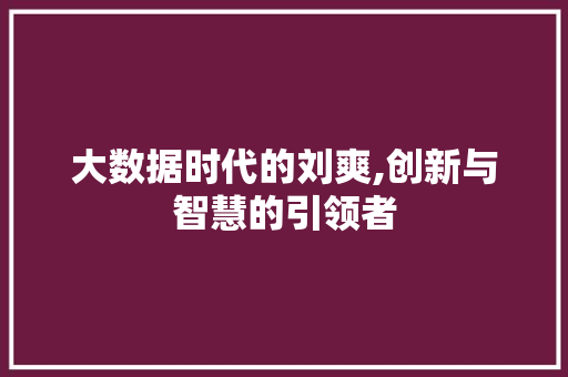 大数据时代的刘爽,创新与智慧的引领者 360搜优化