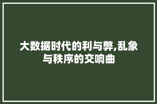 大数据时代的利与弊,乱象与秩序的交响曲 网站开发