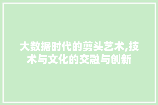 大数据时代的剪头艺术,技术与文化的交融与创新 360搜优化