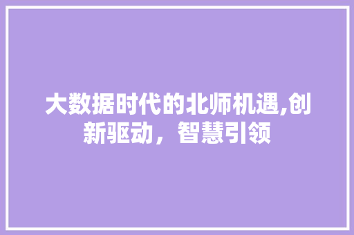 大数据时代的北师机遇,创新驱动，智慧引领 小程序开发