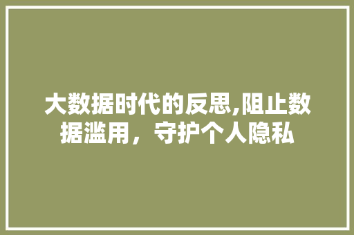 大数据时代的反思,阻止数据滥用，守护个人隐私 seo技术